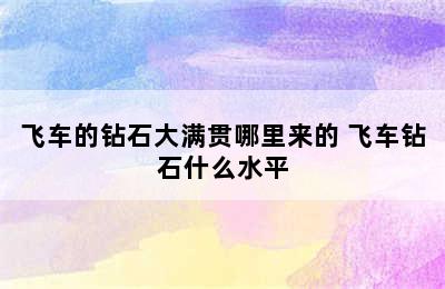 飞车的钻石大满贯哪里来的 飞车钻石什么水平